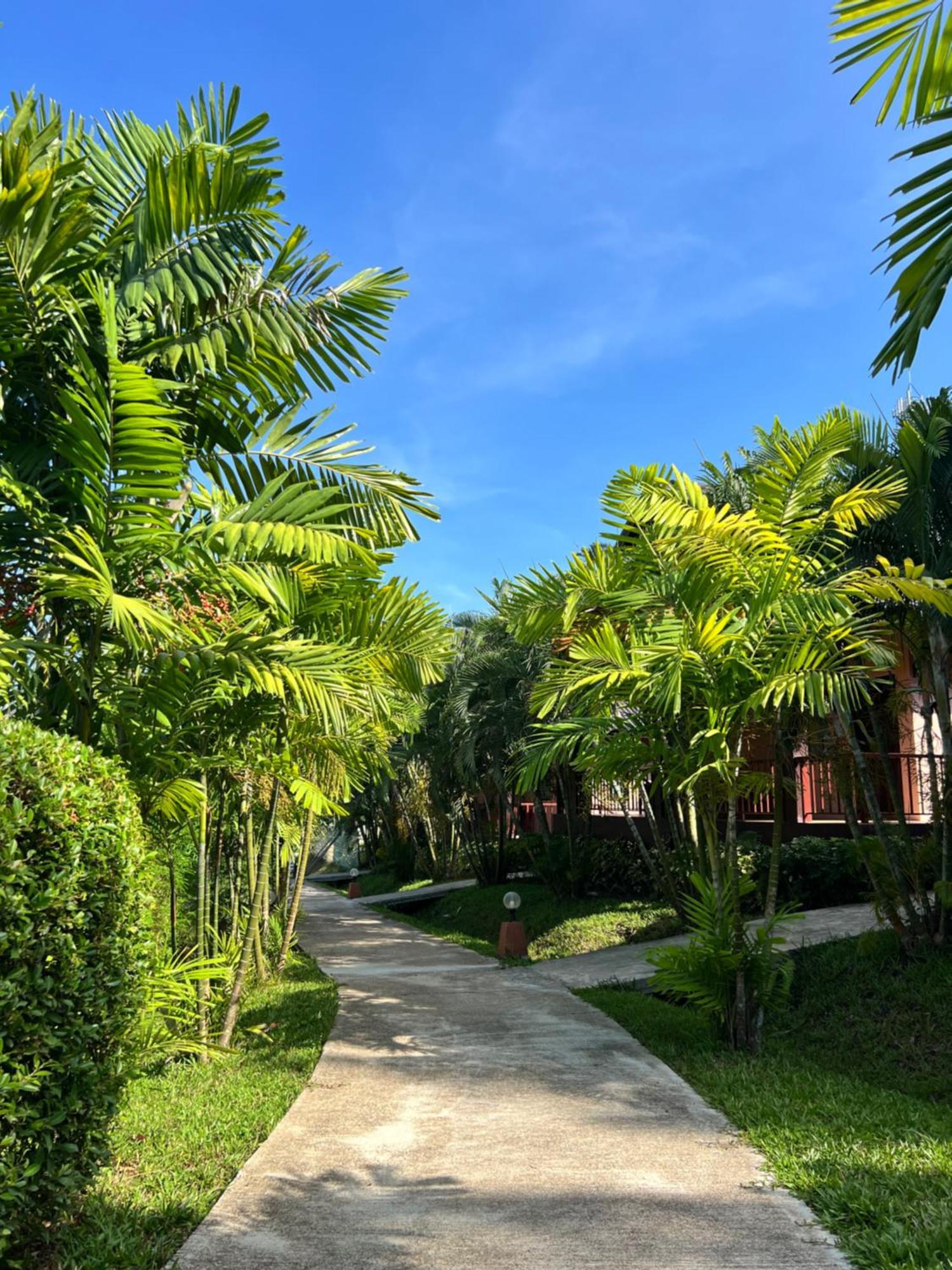 Ao Nang Palm Kiri Aonang Resort מראה חיצוני תמונה
